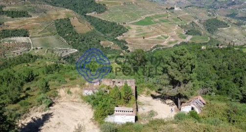 Quinta T5 para Venda em Provesende, Gouvães Douro, São Cristóvão Douro