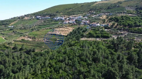 Quinta T5 para Venda em Provesende, Gouvães Douro, São Cristóvão Douro