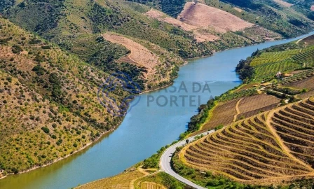 Quinta T5 para Venda em Provesende, Gouvães Douro, São Cristóvão Douro