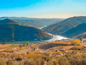Quinta T5 para Venda em Provesende, Gouvães Douro, São Cristóvão Douro