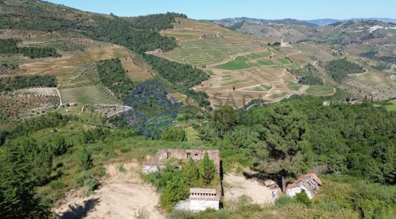 Quinta T5 para Venda em Provesende, Gouvães Douro, São Cristóvão Douro Foto 11
