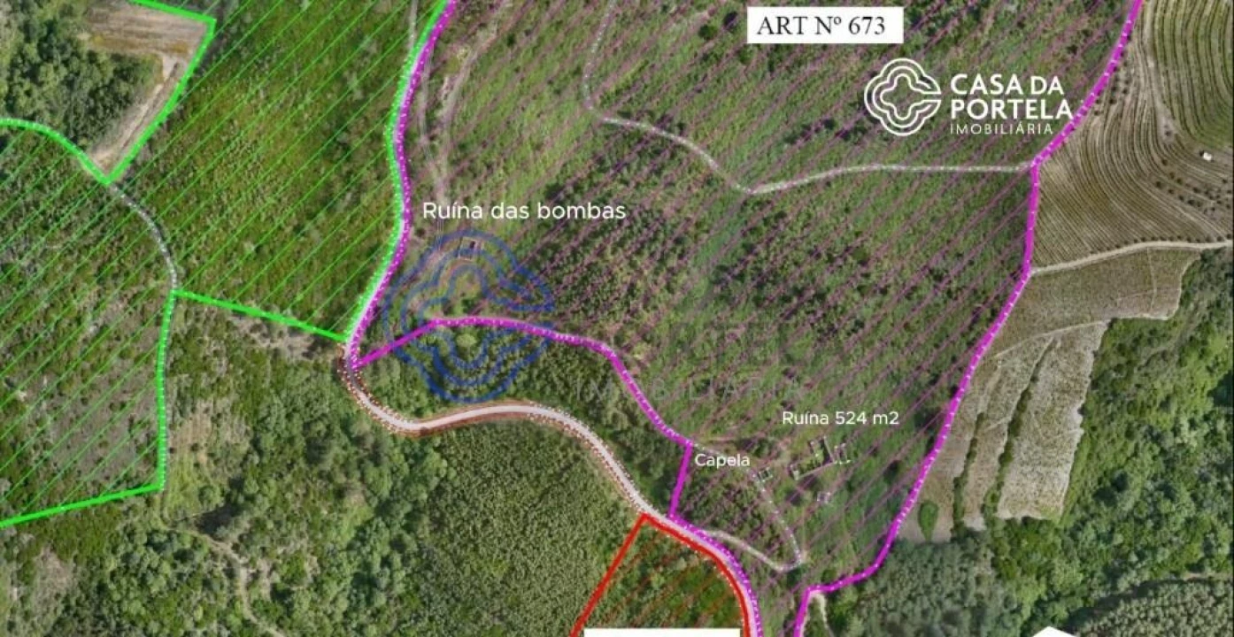 Quinta T5 para Venda em Provesende, Gouvães Douro, São Cristóvão Douro Foto 2