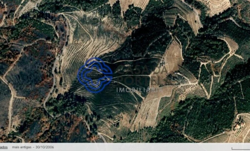 Quinta T5 para Venda em Provesende, Gouvães Douro, São Cristóvão Douro Foto 18