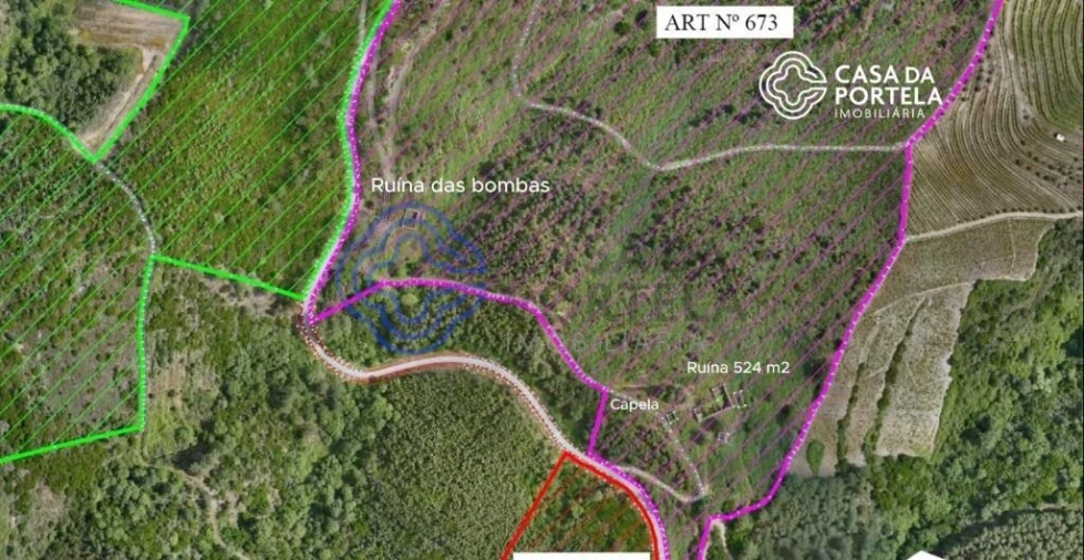 Quinta T5 para Venda em Provesende, Gouvães Douro, São Cristóvão Douro Foto 2