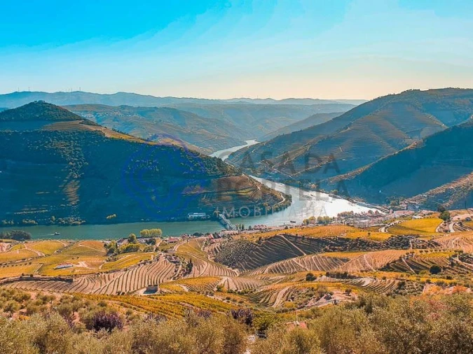 Quinta T5 para Venda em Provesende, Gouvães Douro, São Cristóvão Douro Foto 9
