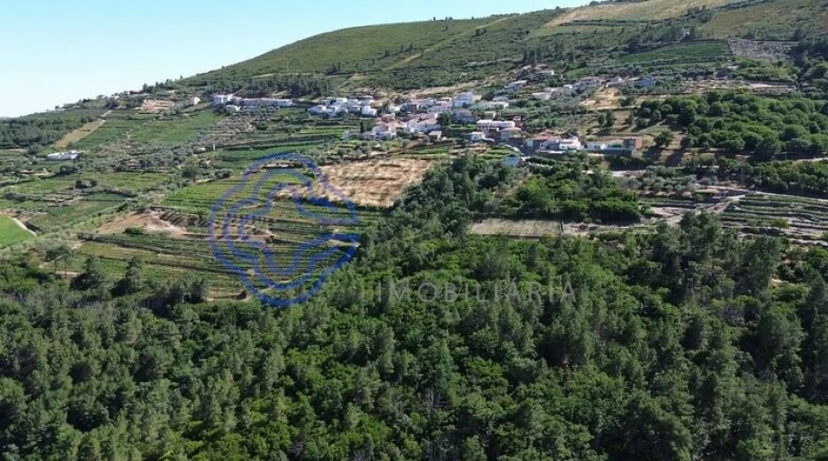 Quinta T5 para Venda em Provesende, Gouvães Douro, São Cristóvão Douro Foto 8