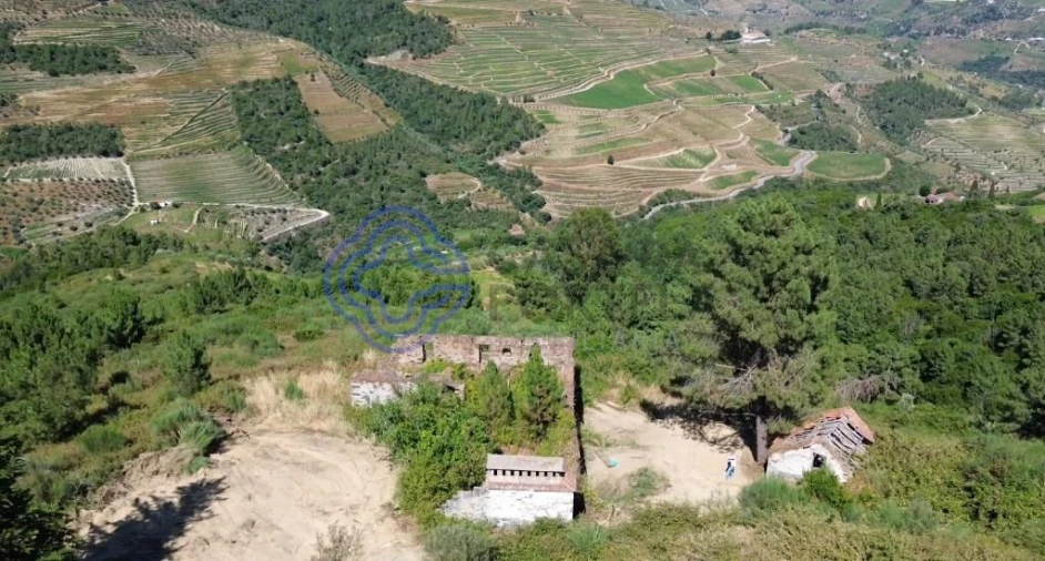 Quinta T5 para Venda em Provesende, Gouvães Douro, São Cristóvão Douro Foto 5