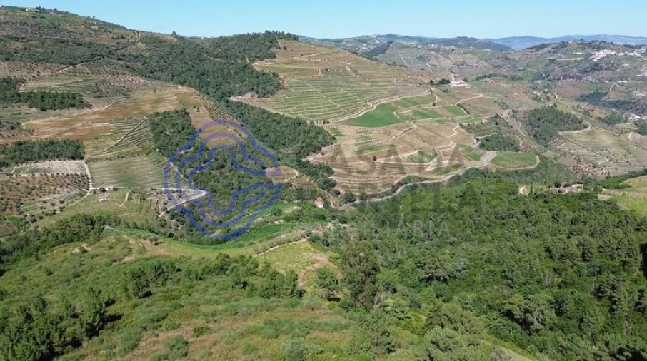 Quinta T5 para Venda em Provesende, Gouvães Douro, São Cristóvão Douro Foto 4