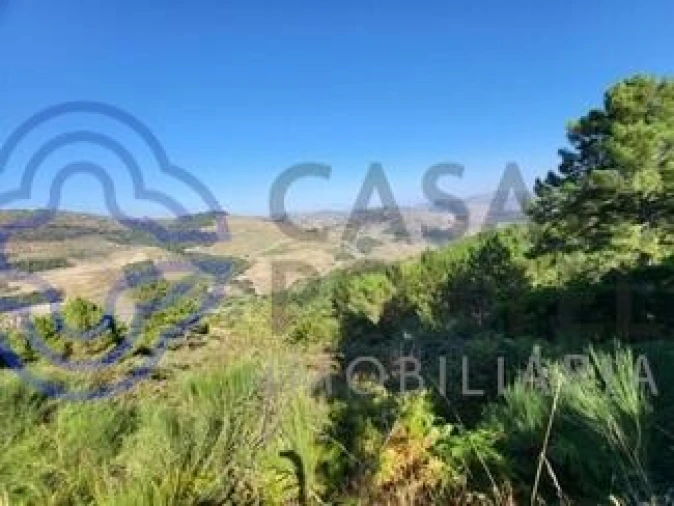 Quinta T5 para Venda em Provesende, Gouvães Douro, São Cristóvão Douro Foto 14