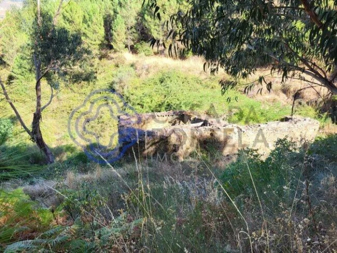 Quinta T5 para Venda em Provesende, Gouvães Douro, São Cristóvão Douro Foto 6