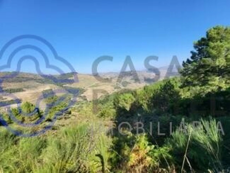 Quinta T5 para Venda em Provesende, Gouvães Douro, São Cristóvão Douro Foto 14