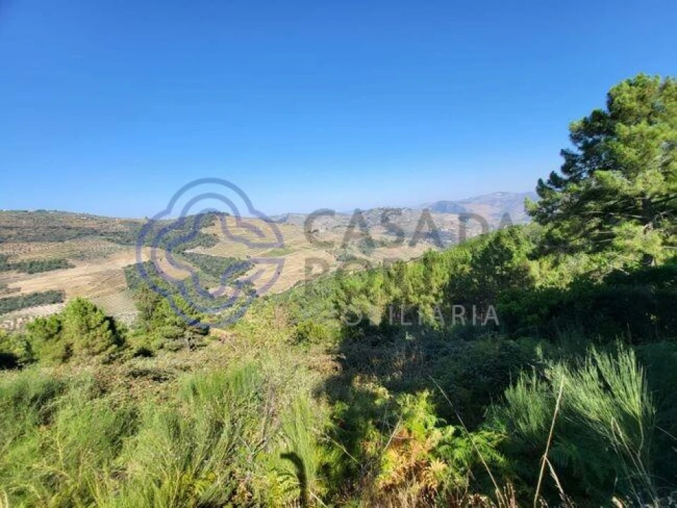 Quinta T5 para Venda em Provesende, Gouvães Douro, São Cristóvão Douro Foto 2