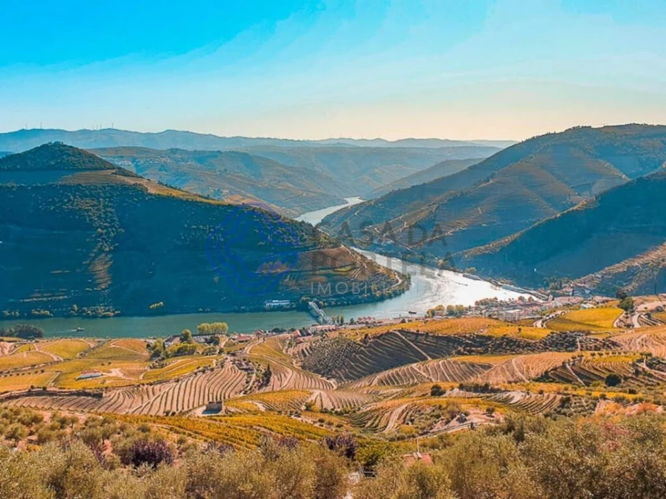 Quinta T5 para Venda em Provesende, Gouvães Douro, São Cristóvão Douro Foto 20
