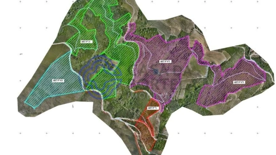 Quinta T5 para Venda em Provesende, Gouvães Douro, São Cristóvão Douro