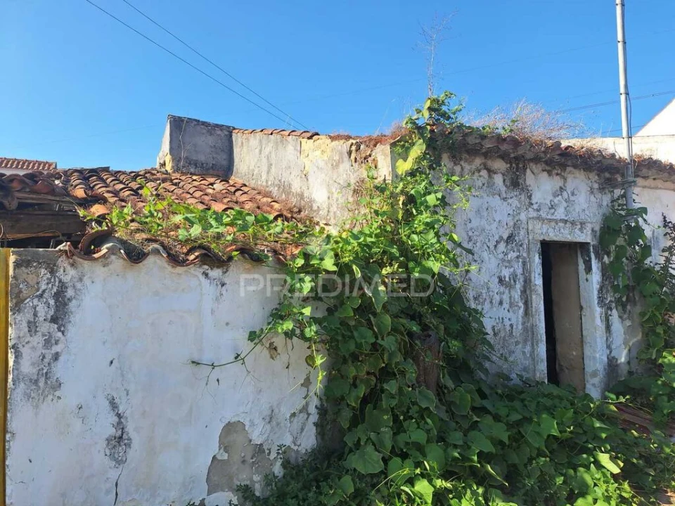 Quinta T2 para Venda em Rio Maior Foto 3