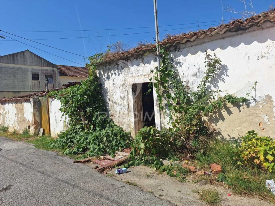 Quinta T2 para Venda em Rio Maior Foto 4