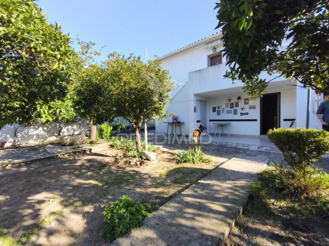 Moradia T3 para Venda em Azeitão (São Lourenço e São Simão) Foto 15