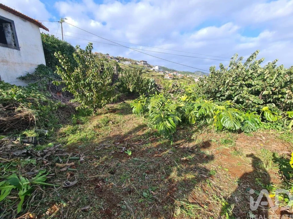 Terreno para Venda em Santa Cruz Foto 12