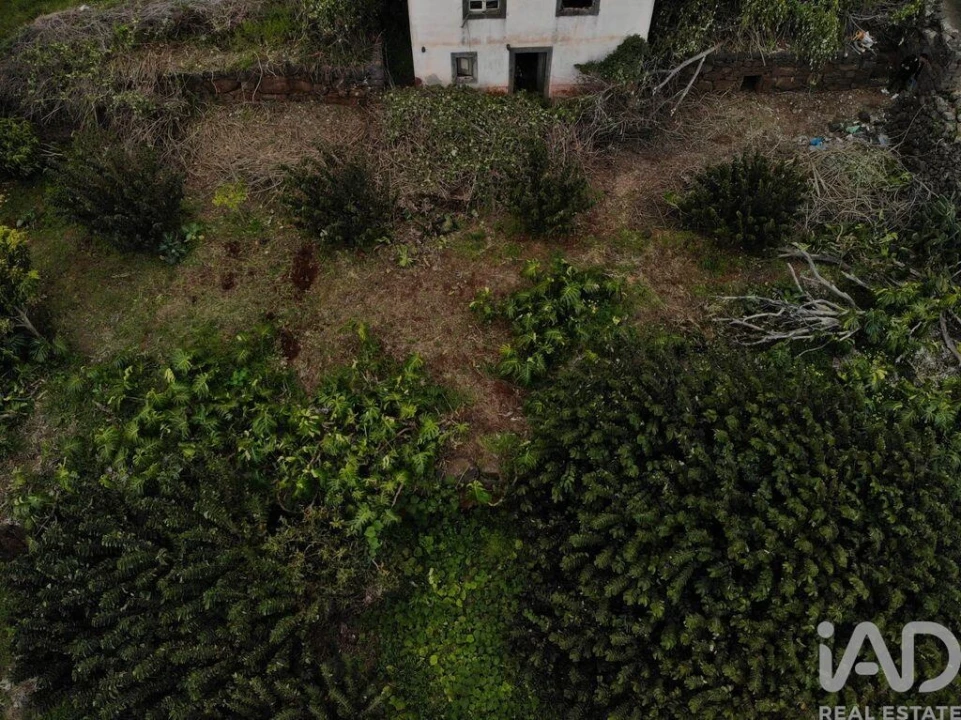 Terreno para Venda em Santa Cruz Foto 7