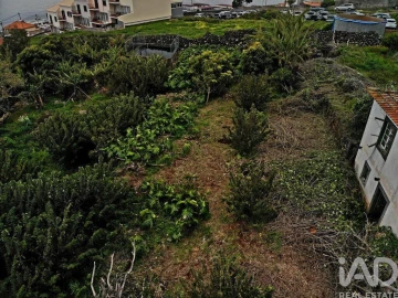 Terreno para Venda em Santa Cruz