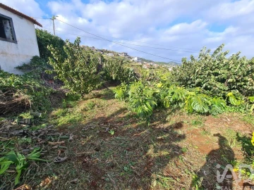 Terreno para Venda em Santa Cruz