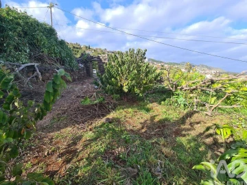 Terreno para Venda em Santa Cruz
