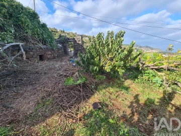 Terreno para Venda em Santa Cruz
