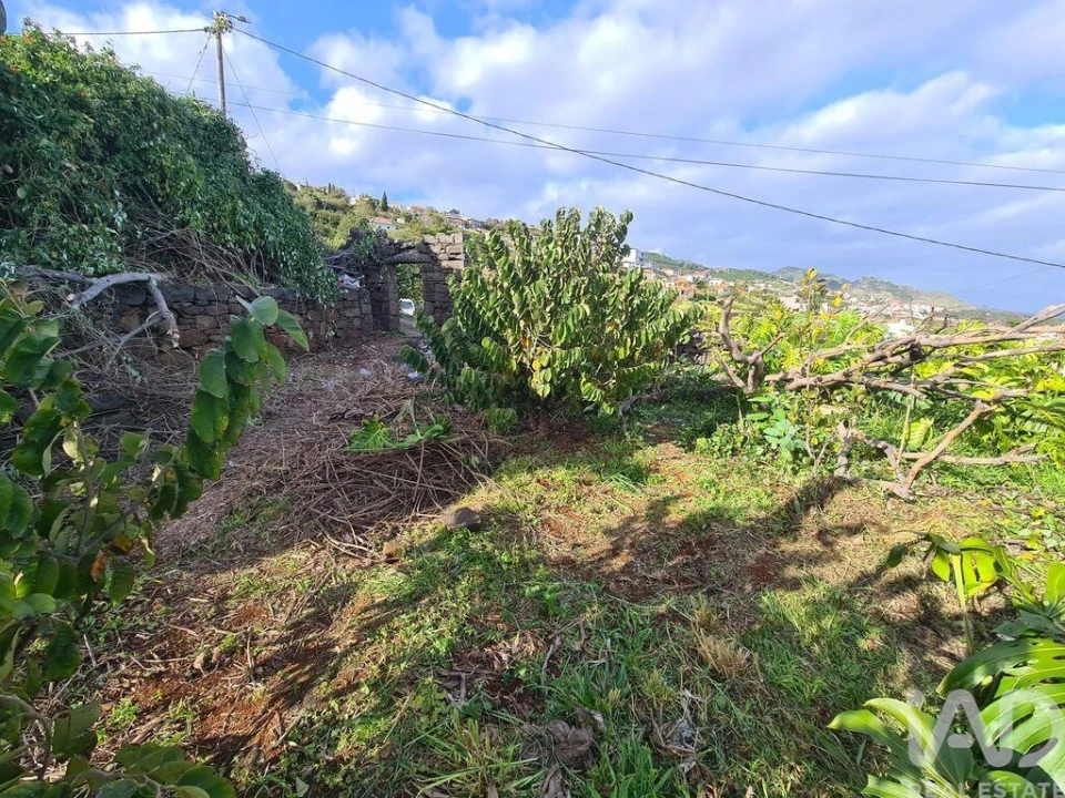 Terreno para Venda em Santa Cruz Foto 11