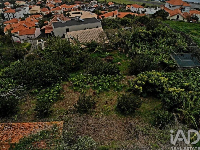 Terreno para Venda em Santa Cruz Foto 8