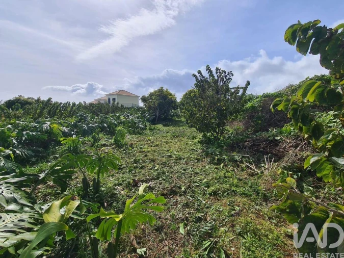 Terreno para Venda em Santa Cruz Foto 13