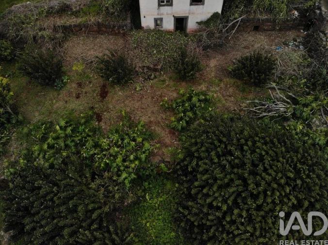 Terreno para Venda em Santa Cruz Foto 7