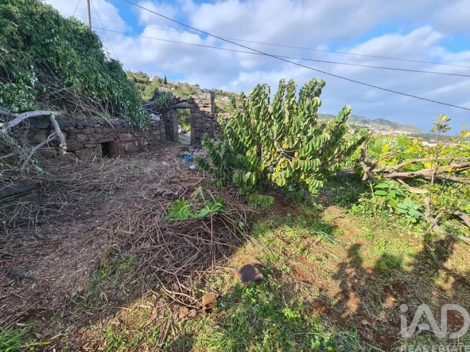 Terreno para Venda em Santa Cruz Foto 15