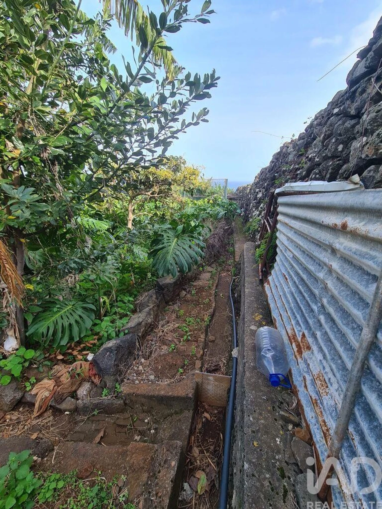 Terreno para Venda em Santa Cruz Foto 10