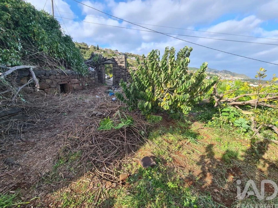 Terreno para Venda em Santa Cruz Foto 15