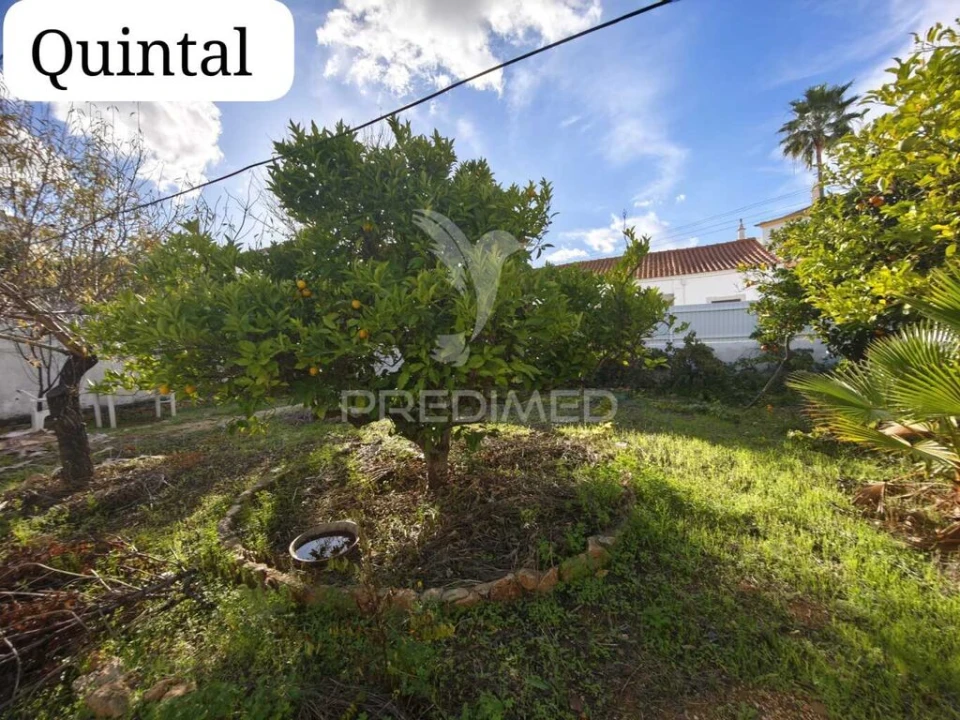 Moradia T3 para Venda em Guia Foto 17