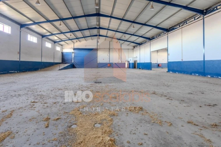 Armazém para Venda em Alpiarça Foto 22