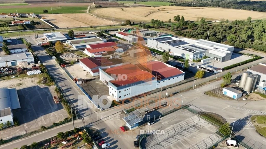 Armazém para Venda em Alpiarça Foto 4