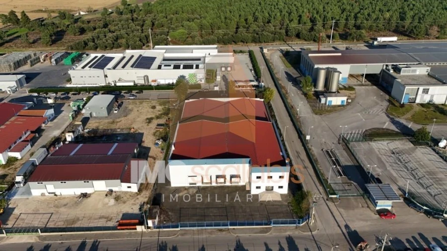 Armazém para Venda em Alpiarça Foto 2