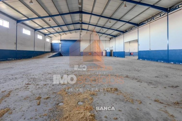 Armazém para Venda em Alpiarça Foto 22