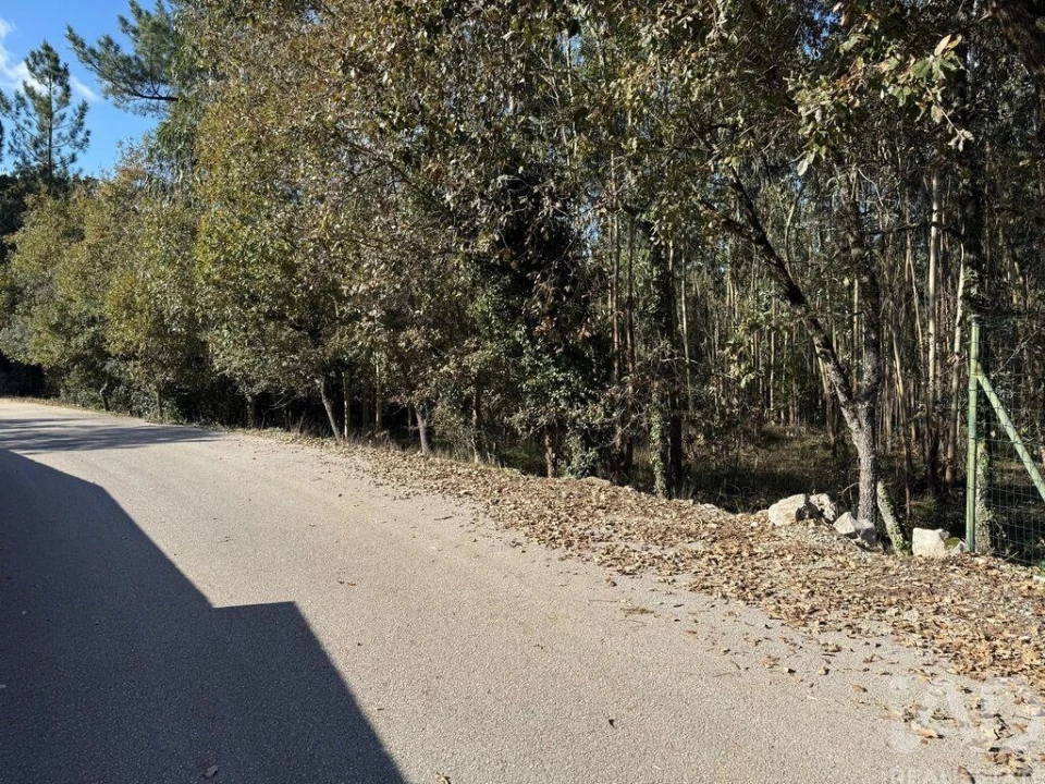 Terreno para Venda em Pedreiras Foto 9