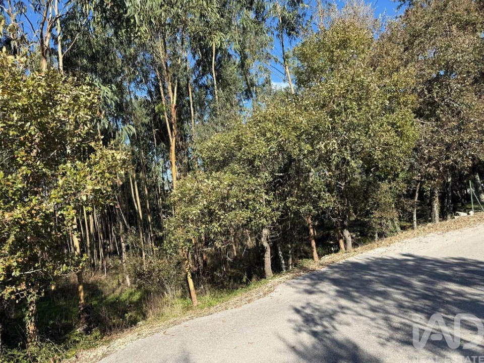 Terreno para Venda em Pedreiras Foto 10