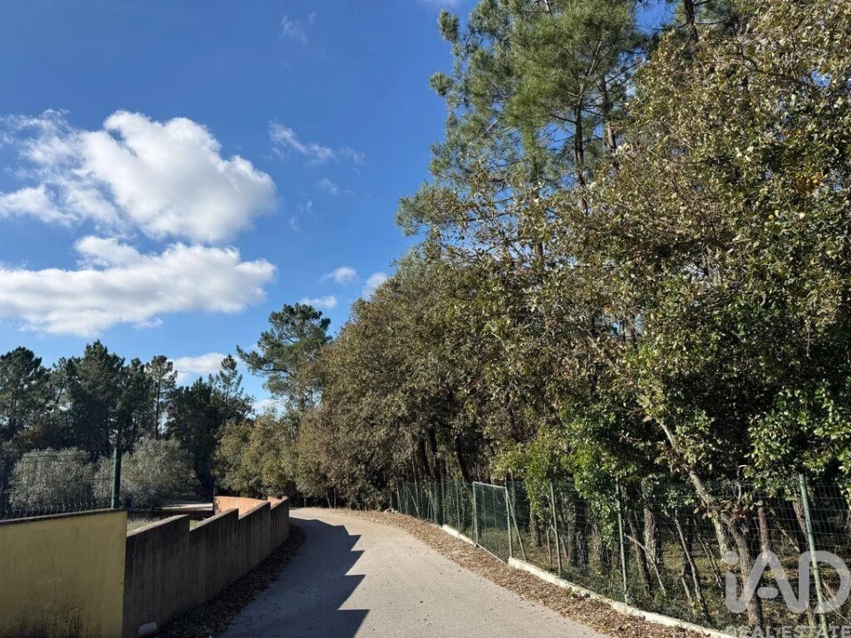 Terreno para Venda em Pedreiras Foto 1