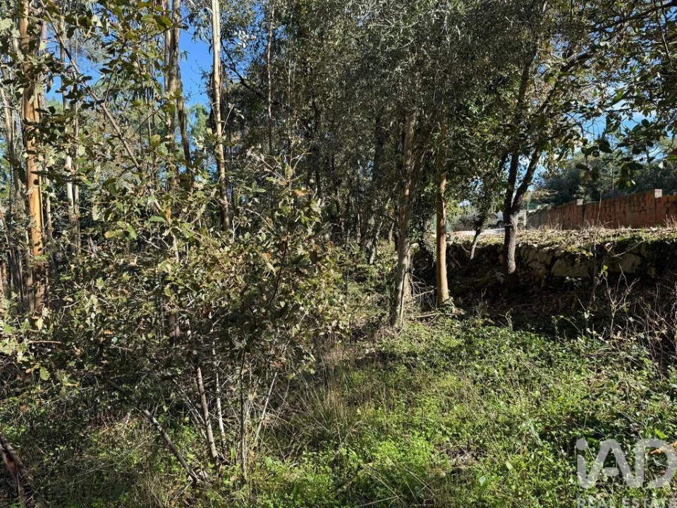 Terreno para Venda em Pedreiras Foto 7