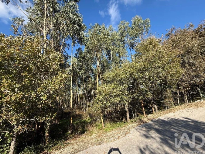 Terreno para Venda em Pedreiras Foto 17