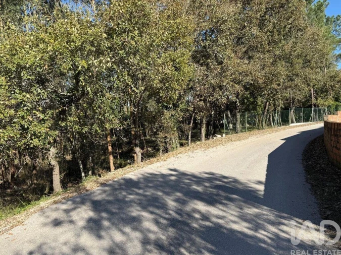 Terreno para Venda em Pedreiras Foto 3