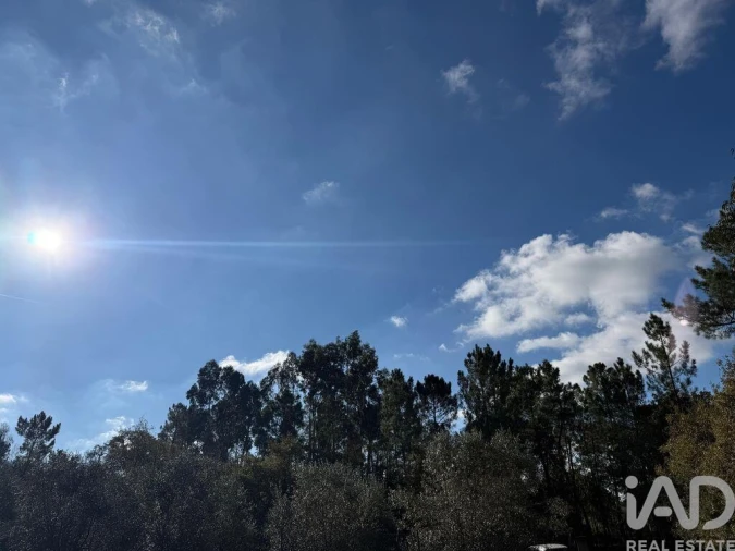 Terreno para Venda em Pedreiras Foto 6