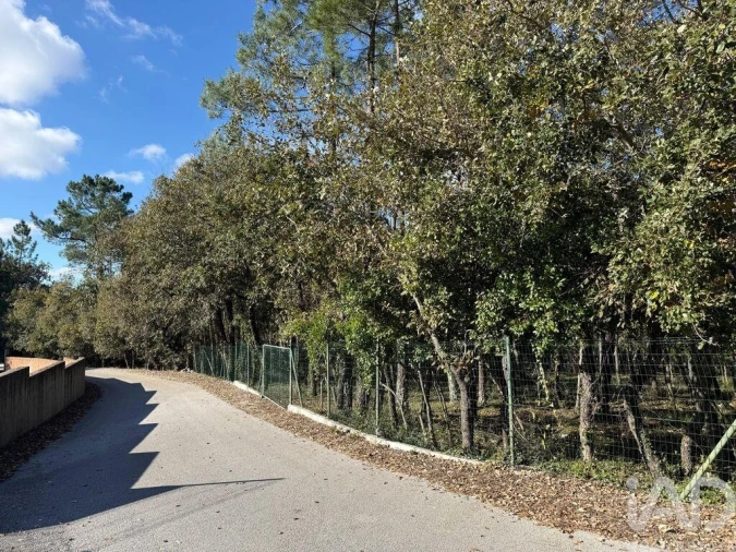 Terreno para Venda em Pedreiras Foto 4