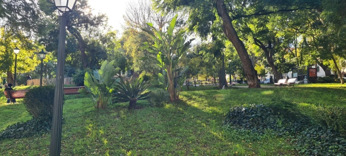 Loja para Venda em Alcantara Foto 2