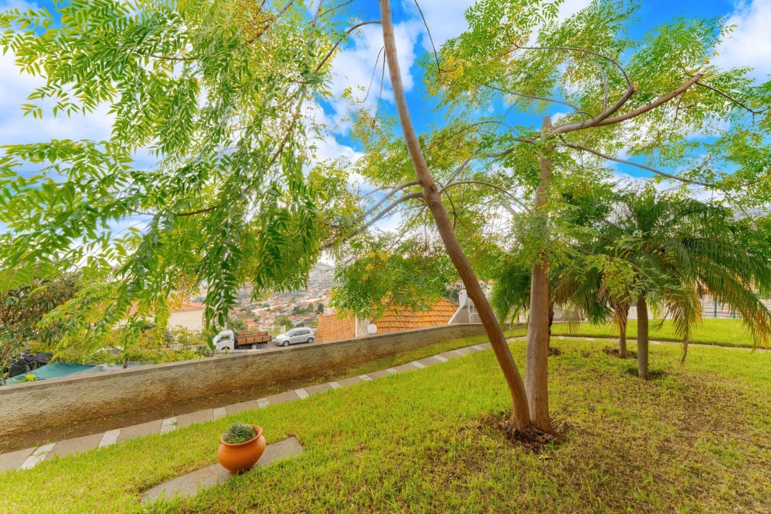 Moradia T2 para Venda em São Roque Foto 43