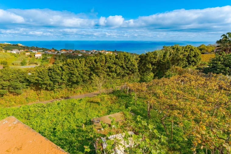 Moradia T2 para Venda em Arco de São Jorge Foto 27